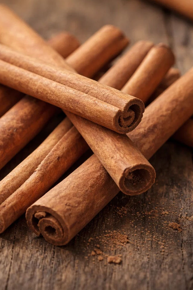 Cinnamomum cassia